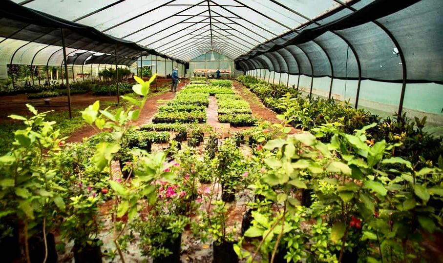 Dos Santos:  “Nos acreditaron 12 millones de pesos que exclusivamente van a la ampliación de la plantinera del kilómetro 1"